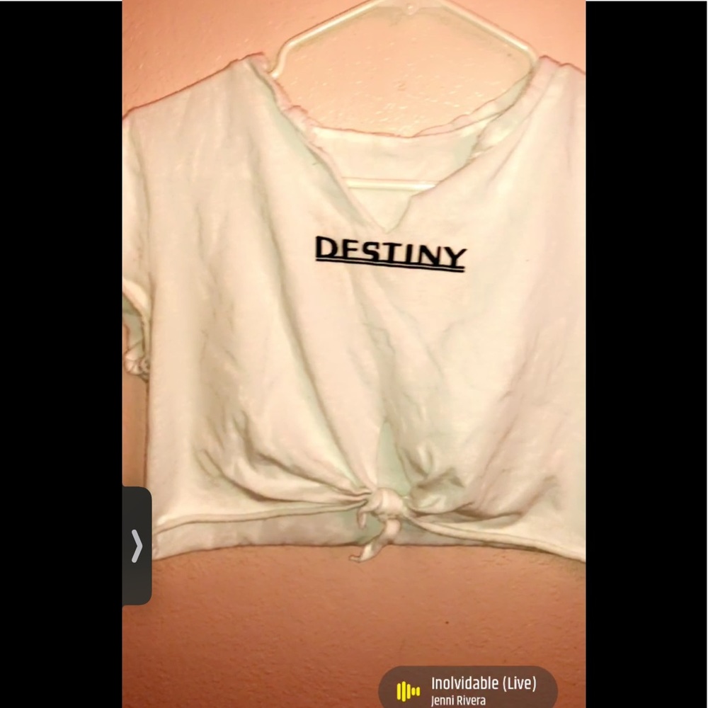 really cute crop top that say “destiny”